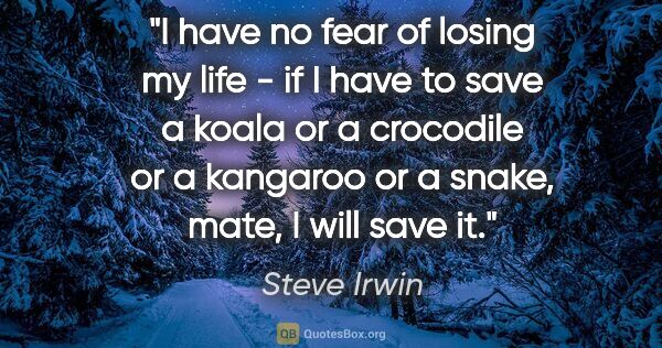 Steve Irwin quote: "I have no fear of losing my life - if I have to save a koala..."