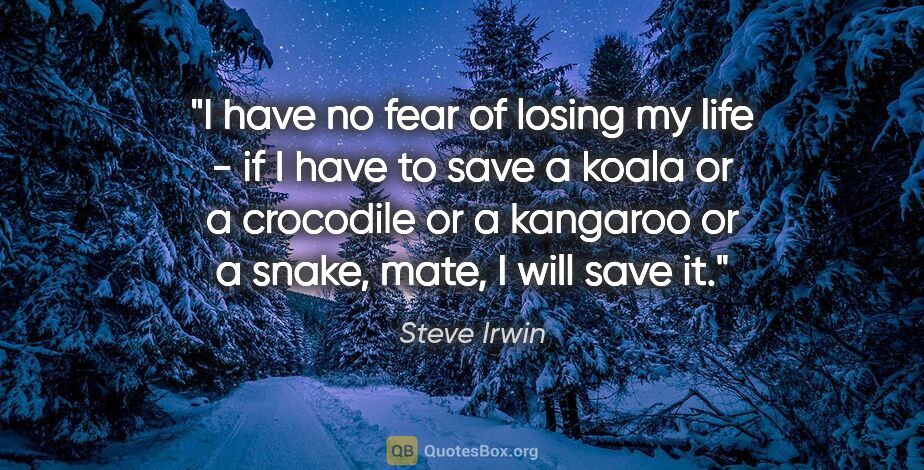 Steve Irwin quote: "I have no fear of losing my life - if I have to save a koala..."