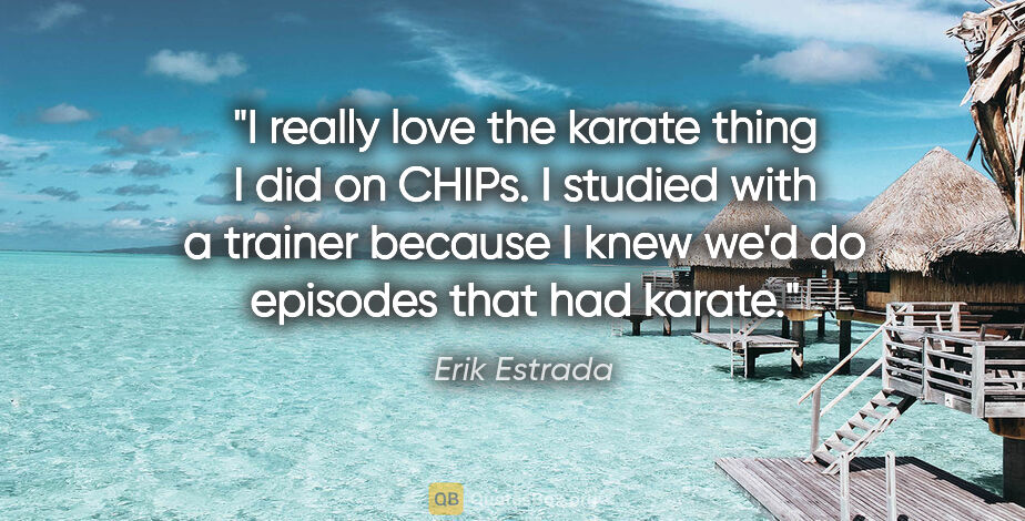 Erik Estrada quote: "I really love the karate thing I did on CHIPs. I studied with..."