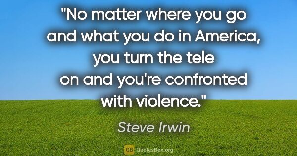 Steve Irwin quote: "No matter where you go and what you do in America, you turn..."