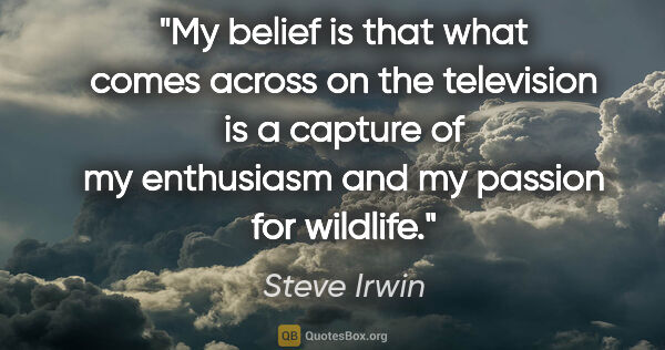 Steve Irwin quote: "My belief is that what comes across on the television is a..."