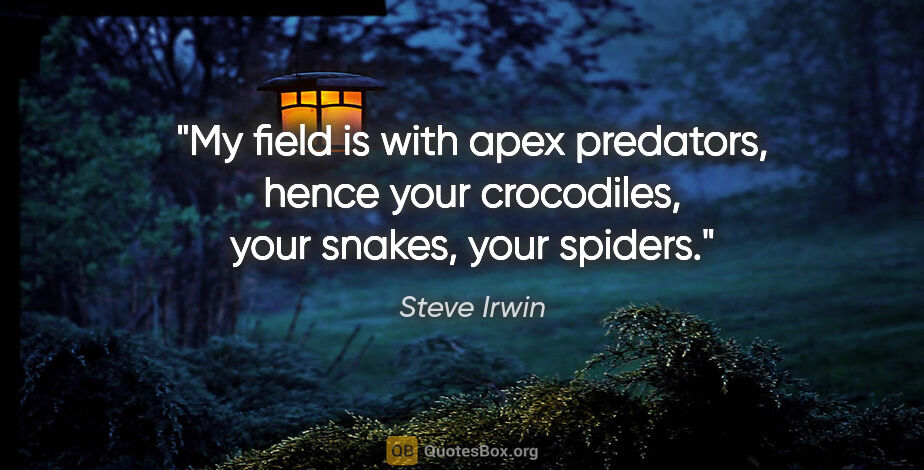 Steve Irwin quote: "My field is with apex predators, hence your crocodiles, your..."