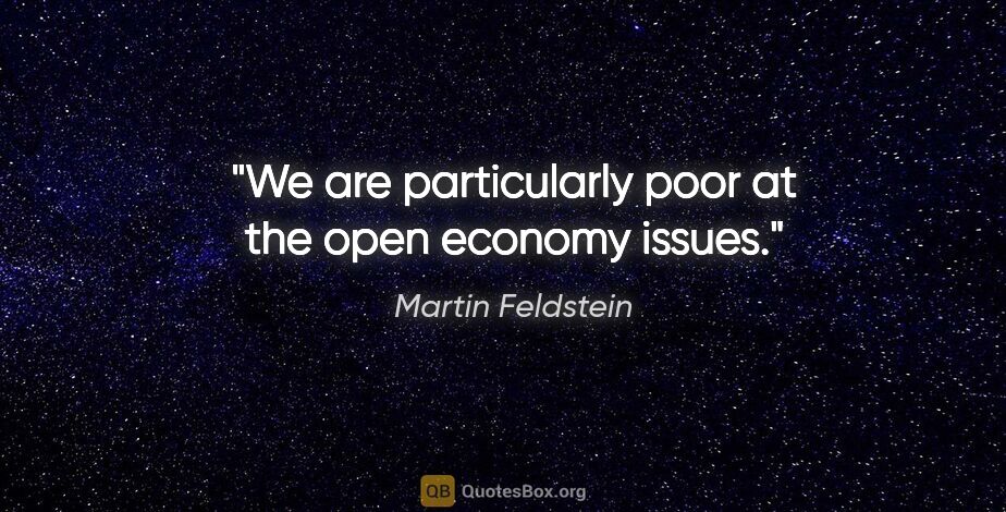 Martin Feldstein quote: "We are particularly poor at the open economy issues."