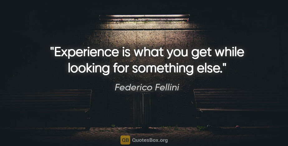 Federico Fellini quote: "Experience is what you get while looking for something else."