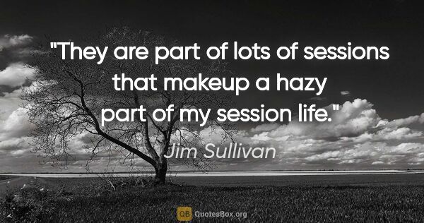 Jim Sullivan quote: "They are part of lots of sessions that makeup a hazy part of..."