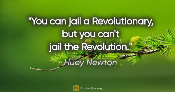 Huey Newton quote: "You can jail a Revolutionary, but you can't jail the Revolution."