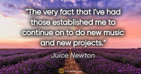 Juice Newton quote: "The very fact that I've had those established me to continue..."