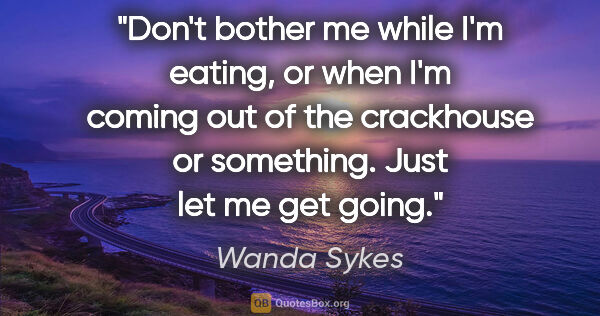 Wanda Sykes quote: "Don't bother me while I'm eating, or when I'm coming out of..."