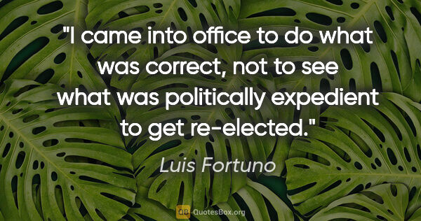 Luis Fortuno quote: "I came into office to do what was correct, not to see what was..."