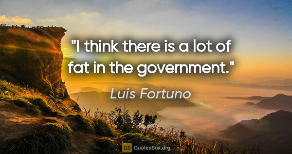 Luis Fortuno quote: "I think there is a lot of fat in the government."