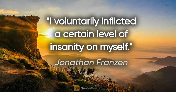 Jonathan Franzen quote: "I voluntarily inflicted a certain level of insanity on myself."
