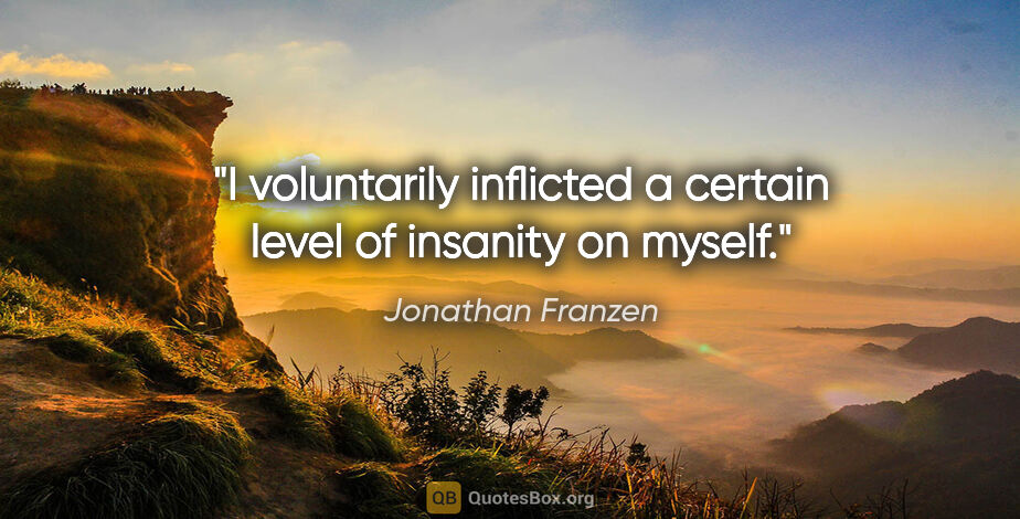 Jonathan Franzen quote: "I voluntarily inflicted a certain level of insanity on myself."