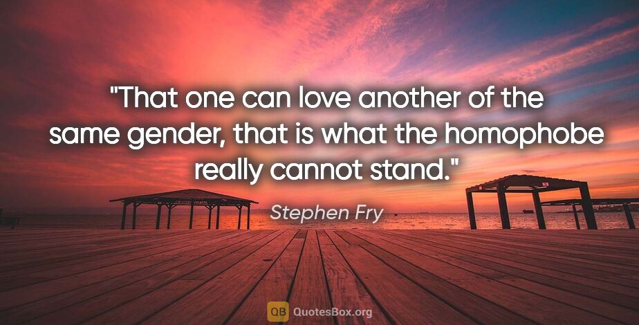 Stephen Fry quote: "That one can love another of the same gender, that is what the..."