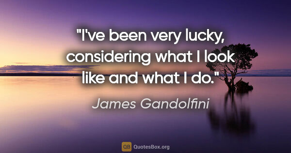 James Gandolfini quote: "I've been very lucky, considering what I look like and what I do."