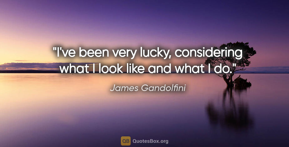 James Gandolfini quote: "I've been very lucky, considering what I look like and what I do."
