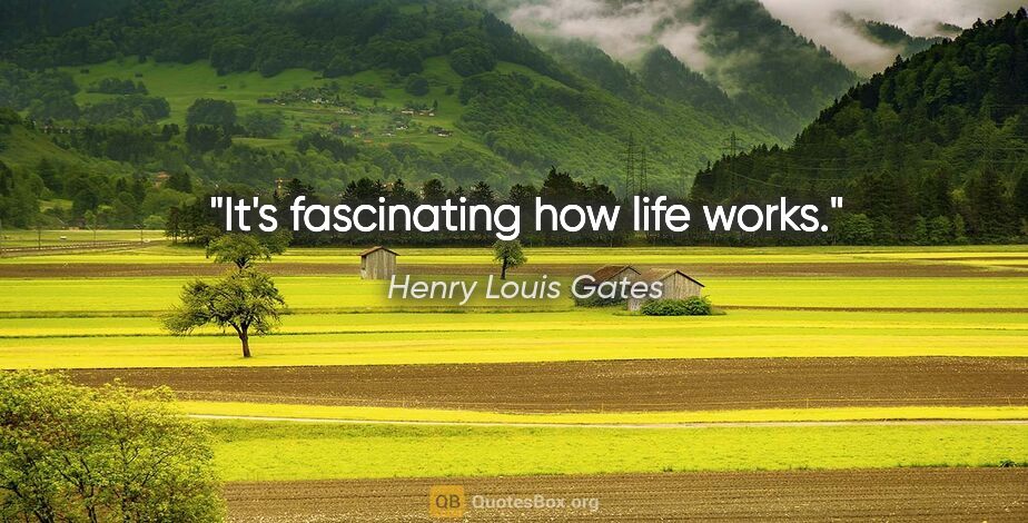 Henry Louis Gates quote: "It's fascinating how life works."