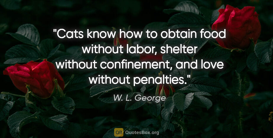 W. L. George quote: "Cats know how to obtain food without labor, shelter without..."