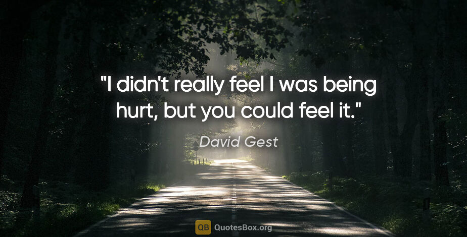 David Gest quote: "I didn't really feel I was being hurt, but you could feel it."
