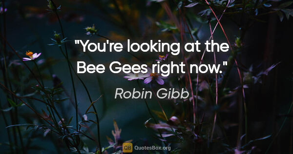 Robin Gibb quote: "You're looking at the Bee Gees right now."
