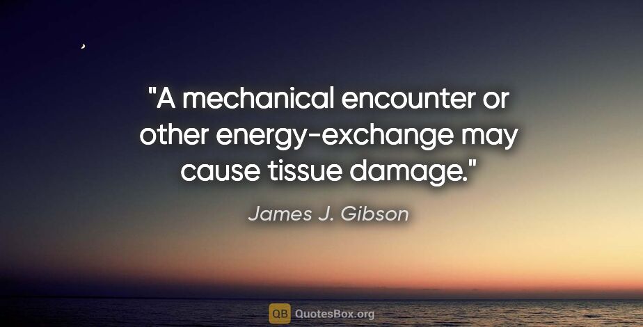 James J. Gibson quote: "A mechanical encounter or other energy-exchange may cause..."