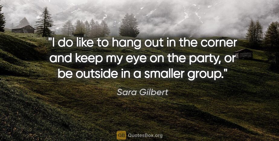 Sara Gilbert quote: "I do like to hang out in the corner and keep my eye on the..."