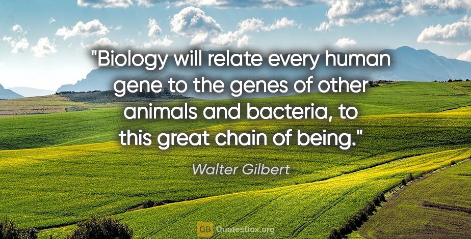 Walter Gilbert quote: "Biology will relate every human gene to the genes of other..."