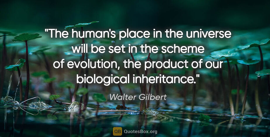 Walter Gilbert quote: "The human's place in the universe will be set in the scheme of..."