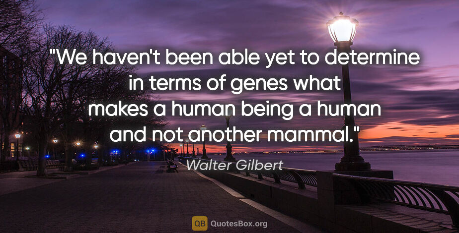 Walter Gilbert quote: "We haven't been able yet to determine in terms of genes what..."