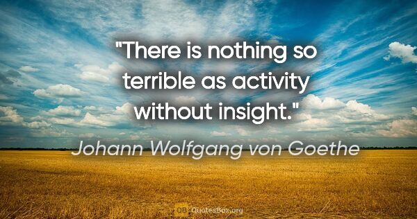 Johann Wolfgang von Goethe quote: "There is nothing so terrible as activity without insight."