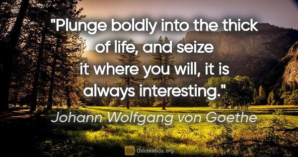 Johann Wolfgang von Goethe quote: "Plunge boldly into the thick of life, and seize it where you..."