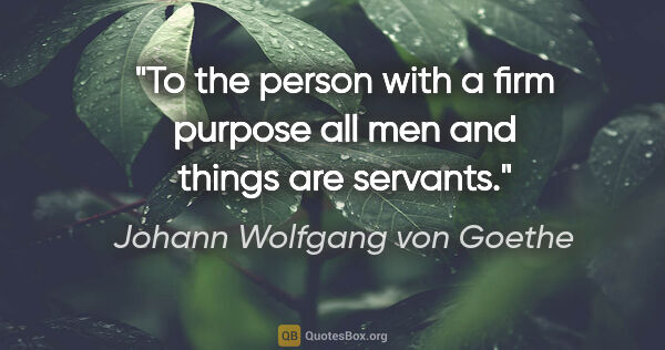 Johann Wolfgang von Goethe quote: "To the person with a firm purpose all men and things are..."