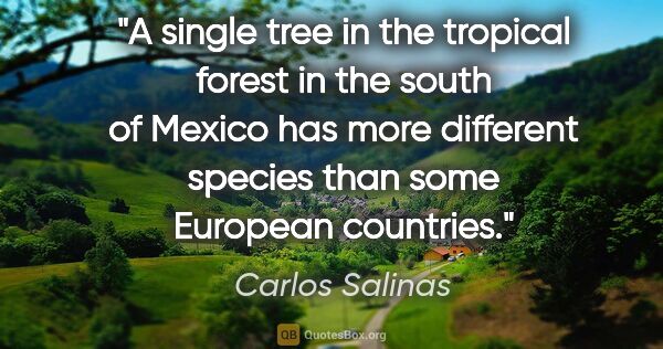 Carlos Salinas quote: "A single tree in the tropical forest in the south of Mexico..."