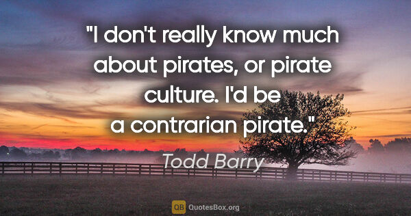 Todd Barry quote: "I don't really know much about pirates, or pirate culture. I'd..."