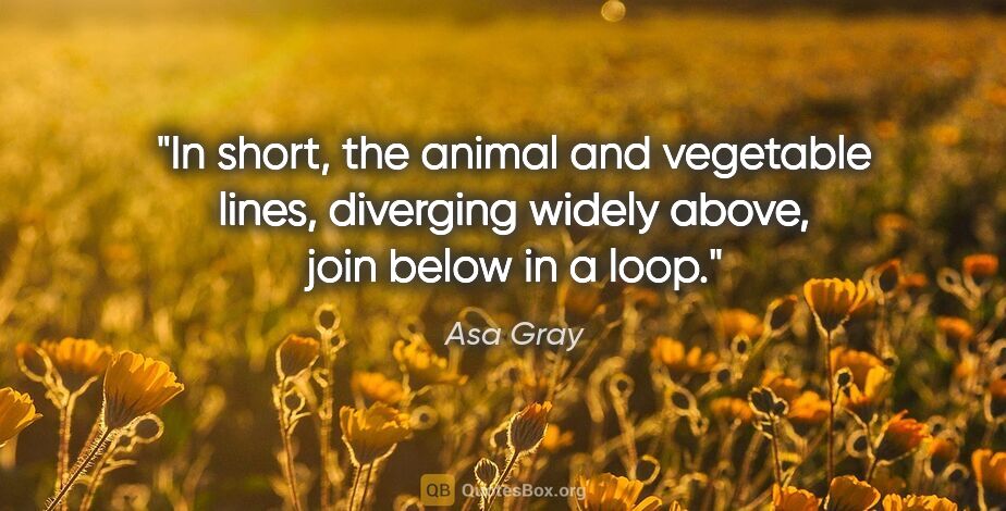 Asa Gray quote: "In short, the animal and vegetable lines, diverging widely..."