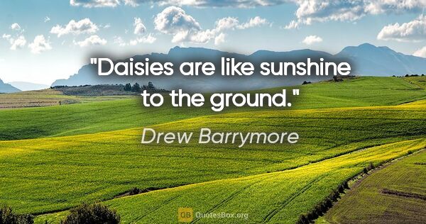 Drew Barrymore quote: "Daisies are like sunshine to the ground."