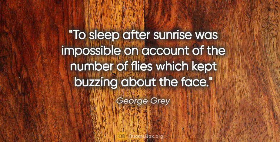 George Grey quote: "To sleep after sunrise was impossible on account of the number..."