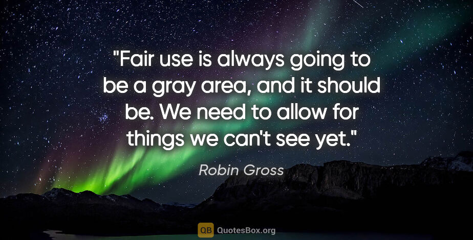 Robin Gross quote: "Fair use is always going to be a gray area, and it should be...."