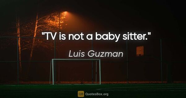 Luis Guzman quote: "TV is not a baby sitter."