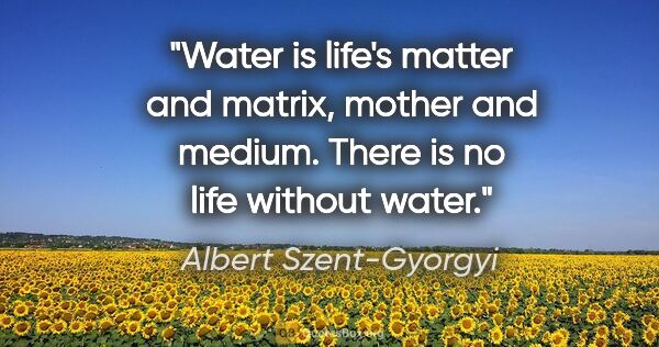 Albert Szent-Gyorgyi quote: "Water is life's matter and matrix, mother and medium. There is..."