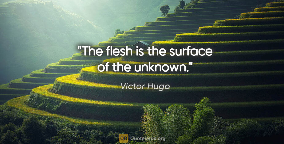 Victor Hugo quote: "The flesh is the surface of the unknown."