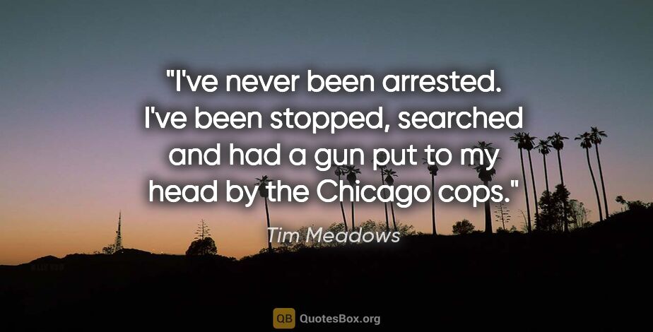 Tim Meadows quote: "I've never been arrested. I've been stopped, searched and had..."