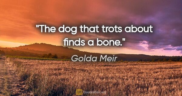 Golda Meir quote: "The dog that trots about finds a bone."