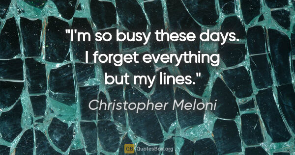 Christopher Meloni quote: "I'm so busy these days. I forget everything but my lines."