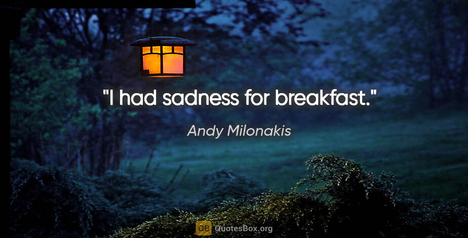 Andy Milonakis quote: "I had sadness for breakfast."