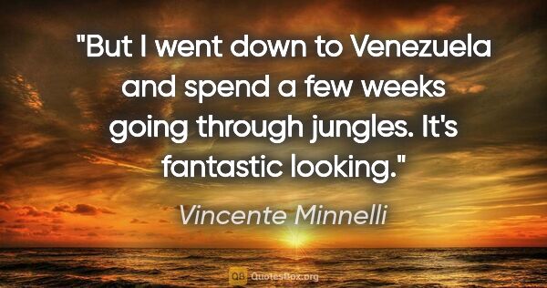 Vincente Minnelli quote: "But I went down to Venezuela and spend a few weeks going..."