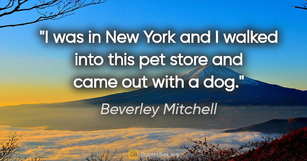 Beverley Mitchell quote: "I was in New York and I walked into this pet store and came..."