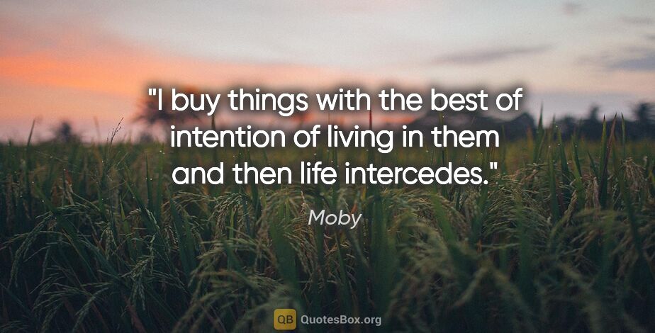Moby quote: "I buy things with the best of intention of living in them and..."