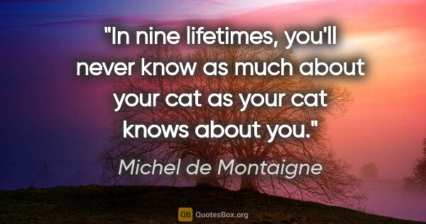 Michel de Montaigne quote: "In nine lifetimes, you'll never know as much about your cat as..."