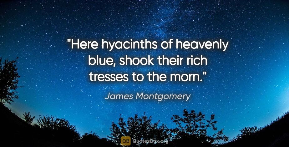 James Montgomery quote: "Here hyacinths of heavenly blue, shook their rich tresses to..."
