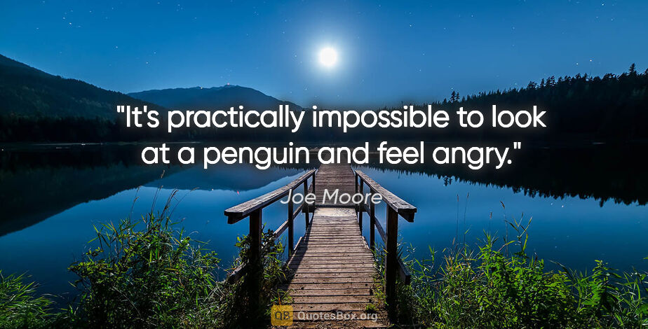 Joe Moore quote: "It's practically impossible to look at a penguin and feel angry."